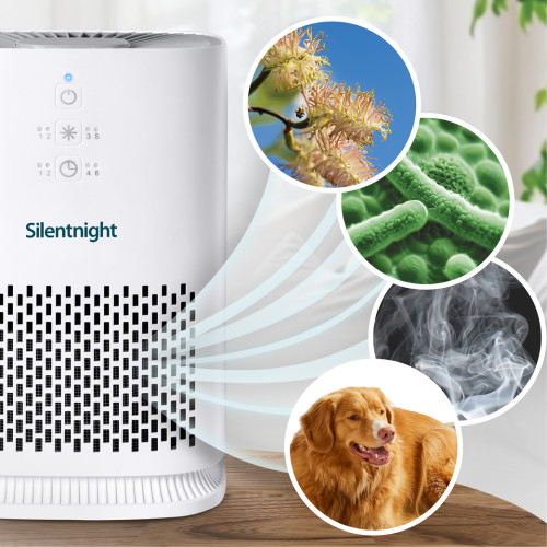 Air Purification