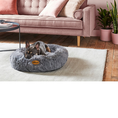 Pet Essentials