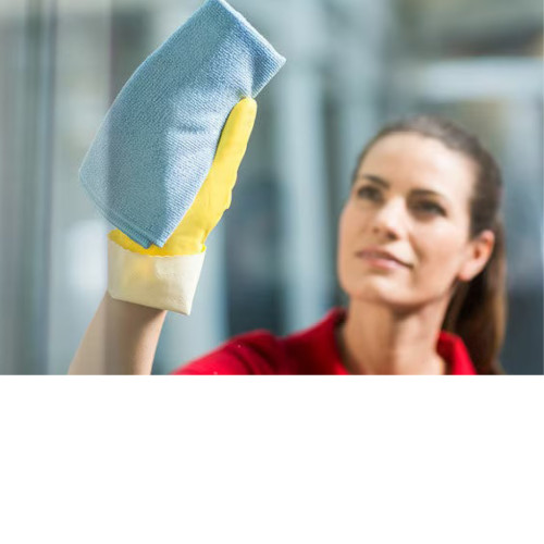 Cleaning Equipment
