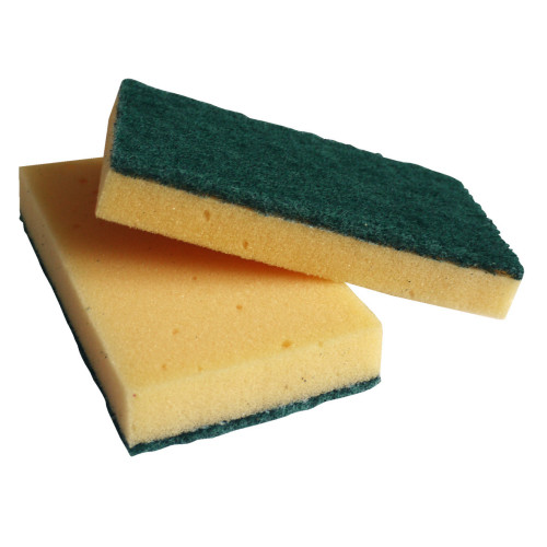 Ramon Sponge Scourer (Box of 10)