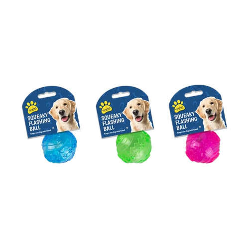 Flashing and Squeaky Ball Dog Toy