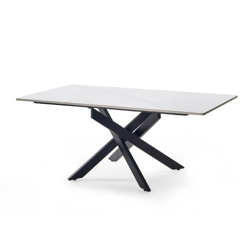 Bradley White Marble Coffee Table (D60 x W110 x H45cm)