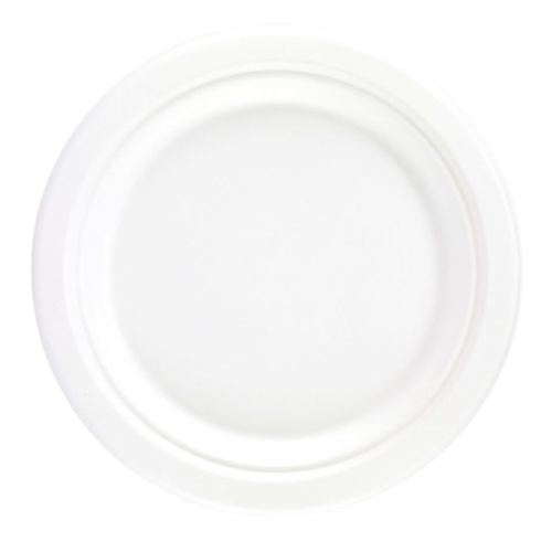 White Bagasse Paper Plates 22.5cm (Box of 500)