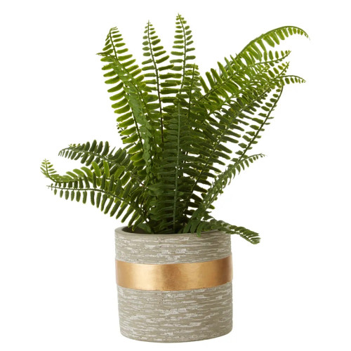 Grey and Gold Textured Fern Succulent 31 x 28cm
