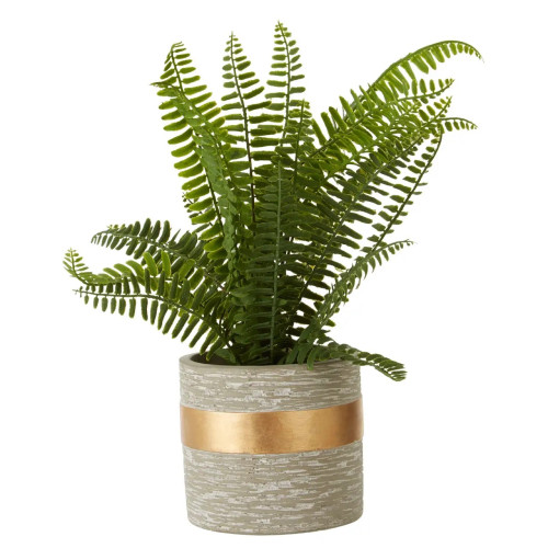 Grey & Gold Textured Fern Succulent (D28 x W28 x H31cmÂ )