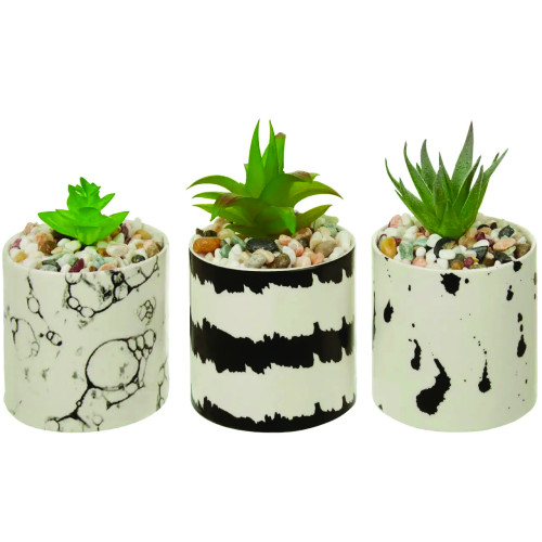 Set of 3 White & Black Patterned Succulents (D8 x W8 x H7cm)