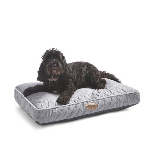 Silentnight Ultrabounce Pet Bed - Medium (D50 x W75 x H11cm)