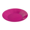 Kids Polypropylene Coloured Plates (Pack of 4)