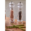 Large Acrylic Salt and Pepper Set 22cm