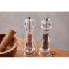 Large Acrylic Salt and Pepper Set 22cm