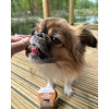 Sir Woofchester's Dog Treat Pots (Box of 12) - Bark Bangers Mini Cheese Burgers