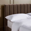 Aylen Chocolate Brown Velvet Upholstered Bed Frame - King Size (H100 x W165 x D210cm)