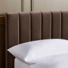 Aylen Chocolate Brown Velvet Upholstered Ottoman Storage Bed Frame - King Size (H110 x W168 x D213cm)