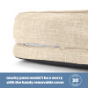 Silentnight Orthopaedic Pet Bed - Natural - Medium (D80 x W59 x H18cm)