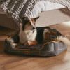 Silentnight Memory Foam Pet Bed - Medium (D75 x W58 x H20cm)