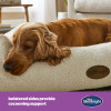 Silentnight Deep Sleep Ultimate Pet Bed - Natural - Small (D50 x W60 x H16cm)